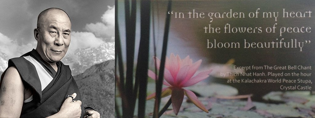 The Flowers of Peace Bloom Beautifully